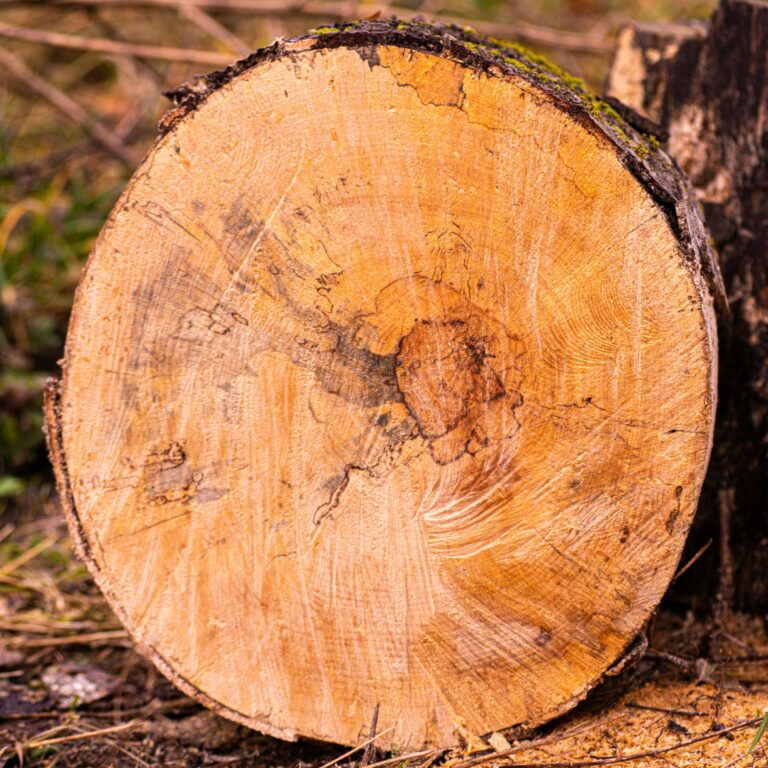 logs